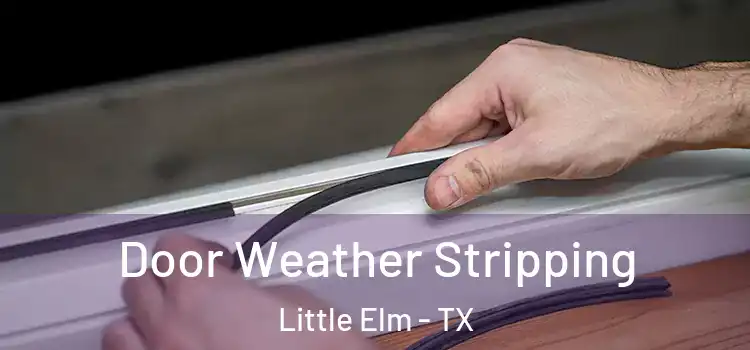 Door Weather Stripping Little Elm - TX