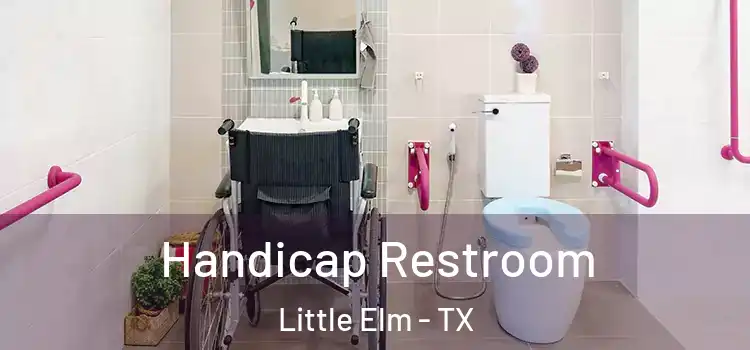 Handicap Restroom Little Elm - TX
