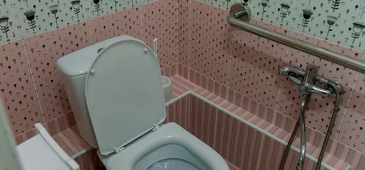 Meeting Diverse Needs With Accessible Restroom Solutions in Little Elm, TX